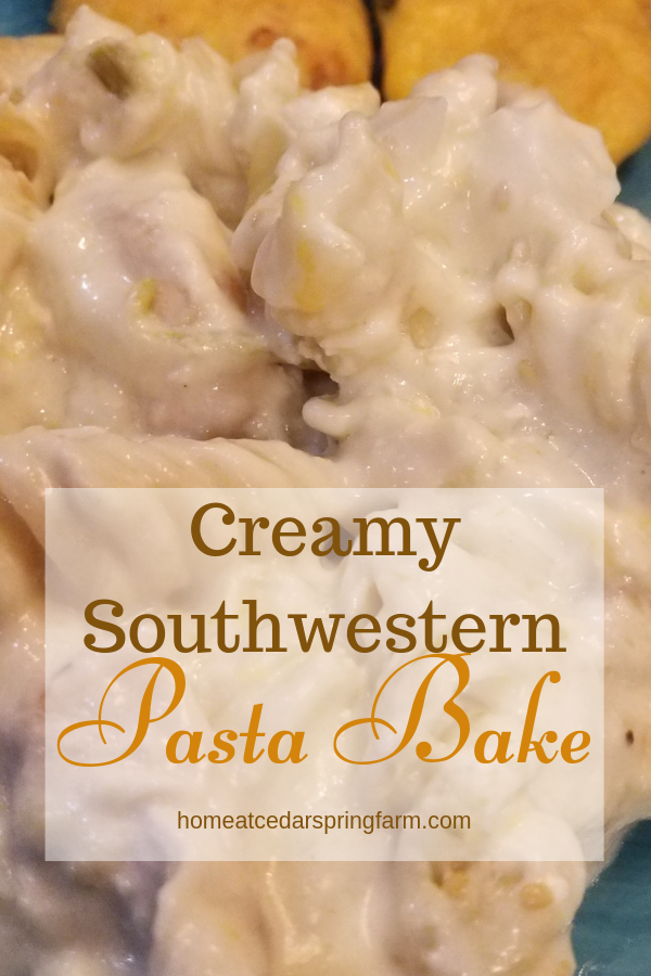 Creamy Southwestern Pasta Bake