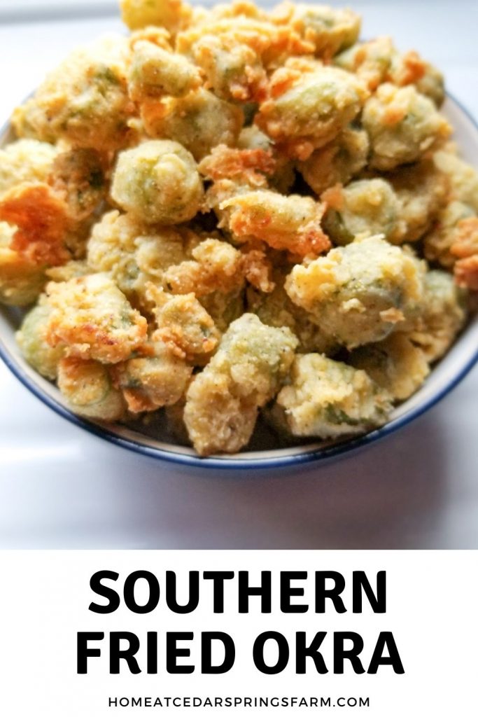 Crispy Southern Fried Okra