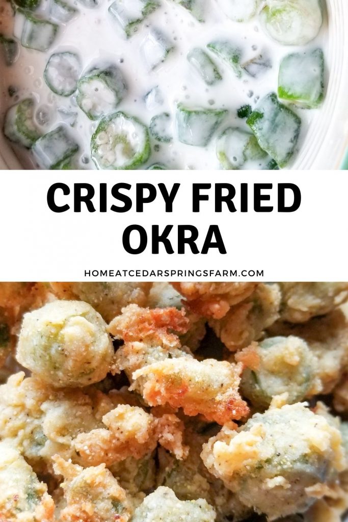 Crispy Southern Fried Okra