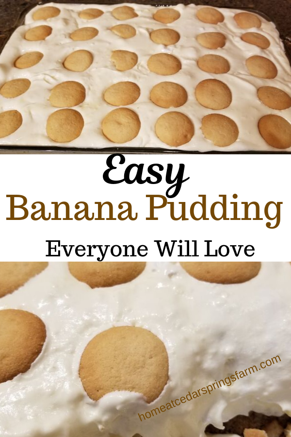 Easy Banana Pudding