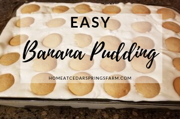 Easy Banana Pudding