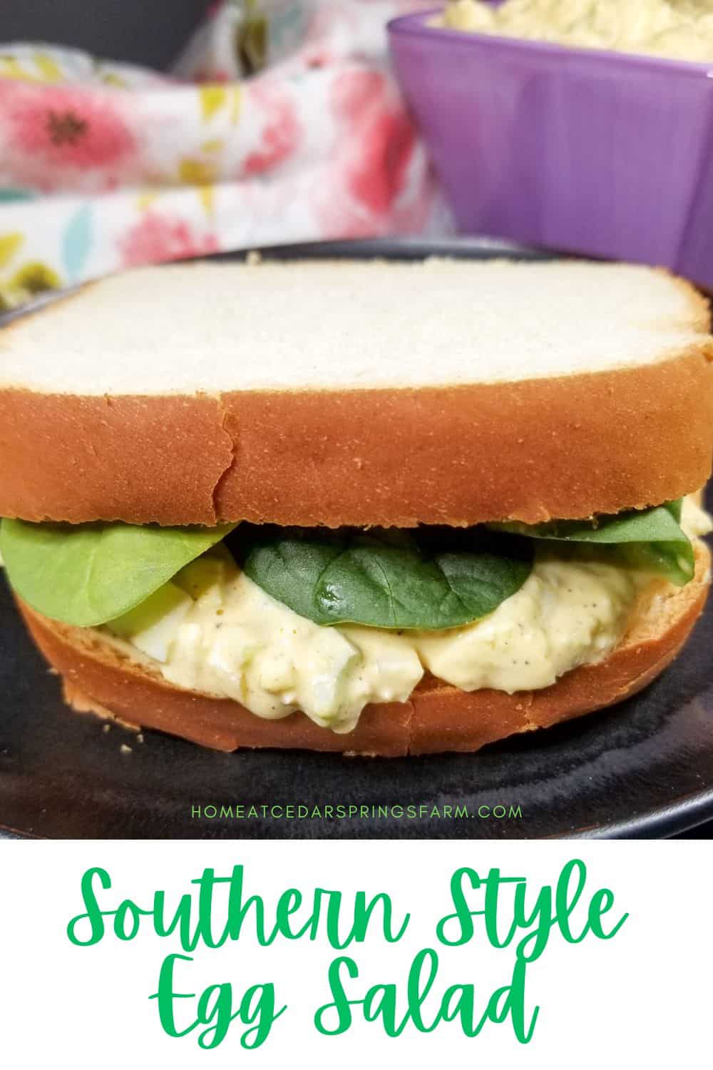 Southern Style Egg Salad Sandwich on a black plate with text overlay.