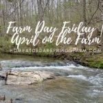 Farm Day Friday | April on the Farm