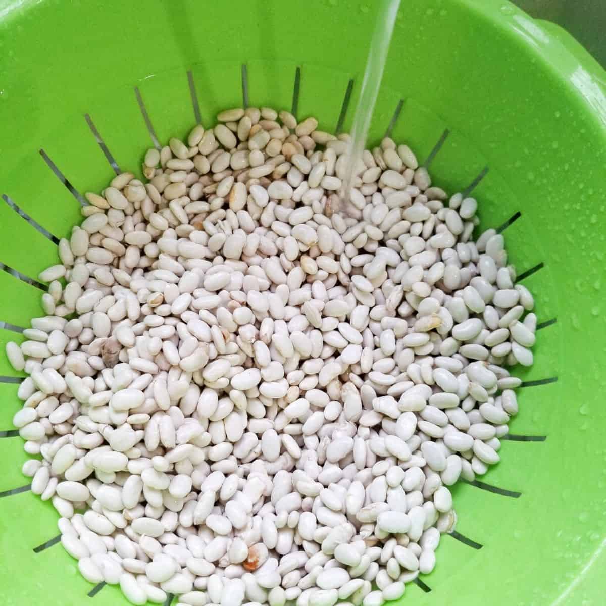 Dried Great Northern beans being sorted and rinsed to remove debris before cooking.