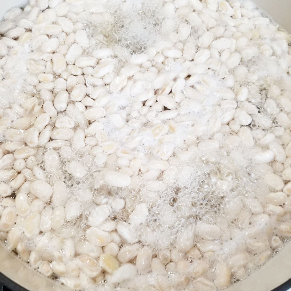 Beans boiling in pot during quick soak method on stovetop.