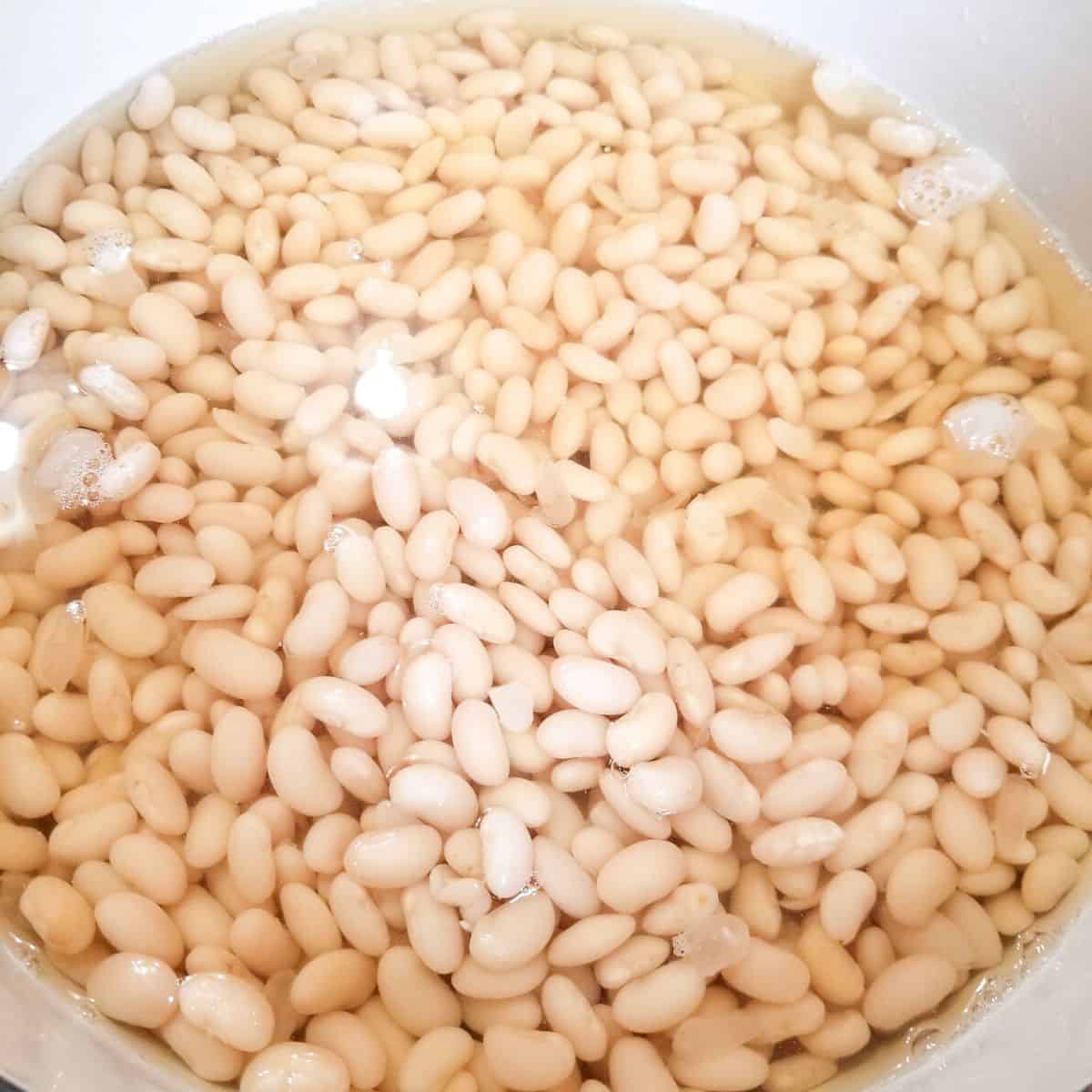 Soaked beans added back to the pot on the stovetop.
