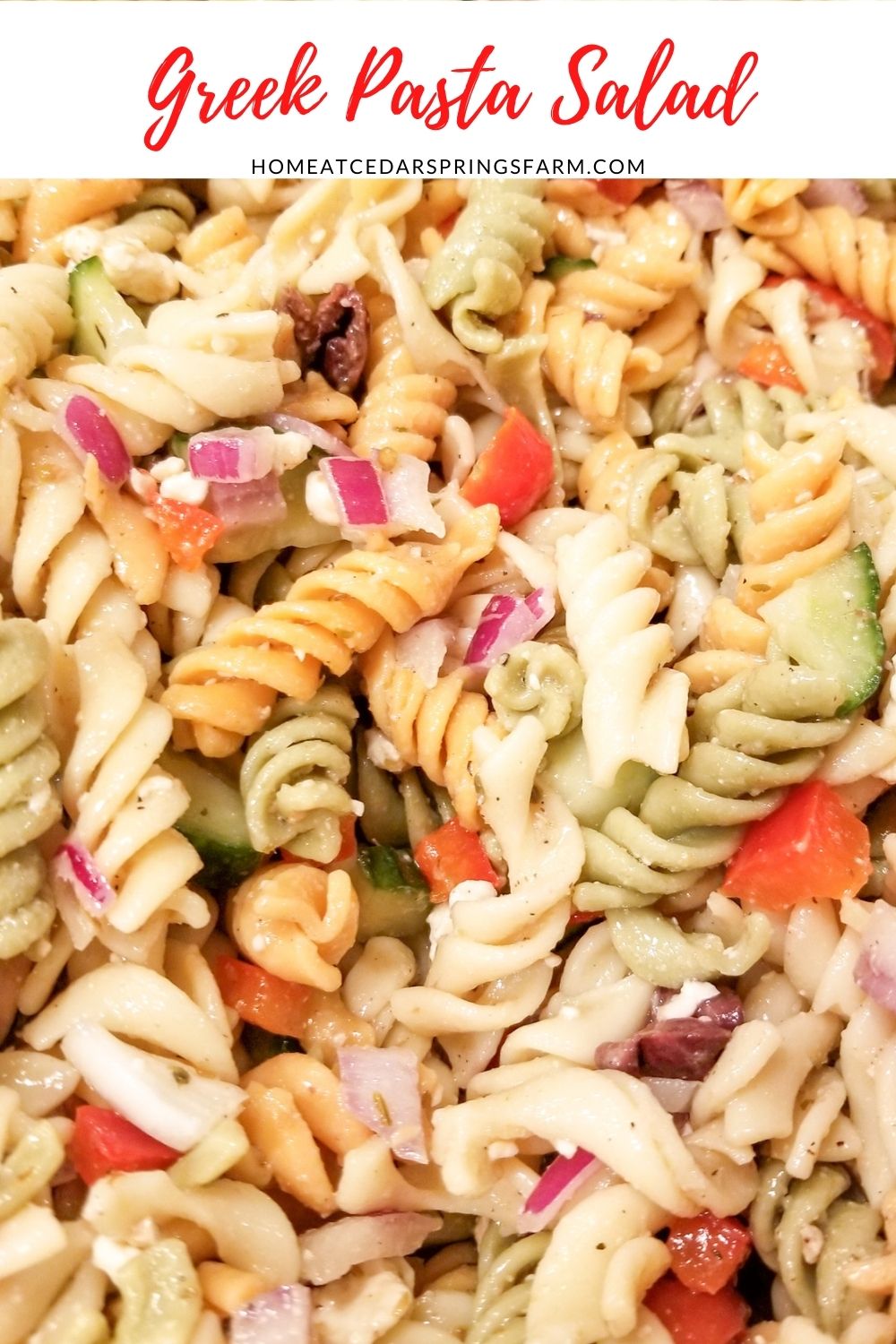 Picture of Greek Pasta Salad with text overlay