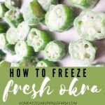 How To Freeze Fresh Okra