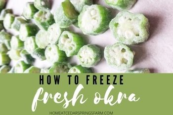 How To Freeze Fresh Okra
