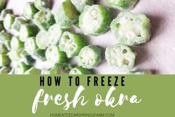 How to Freeze Fresh Okra