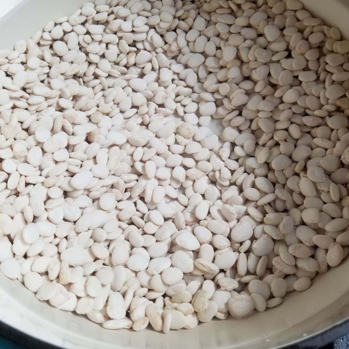 Soaking beans in a large pot.