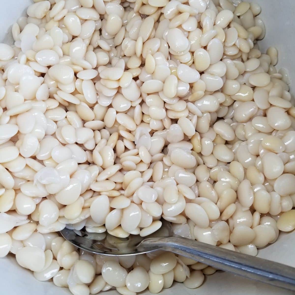 Beans ready to be cooked in a large pot.