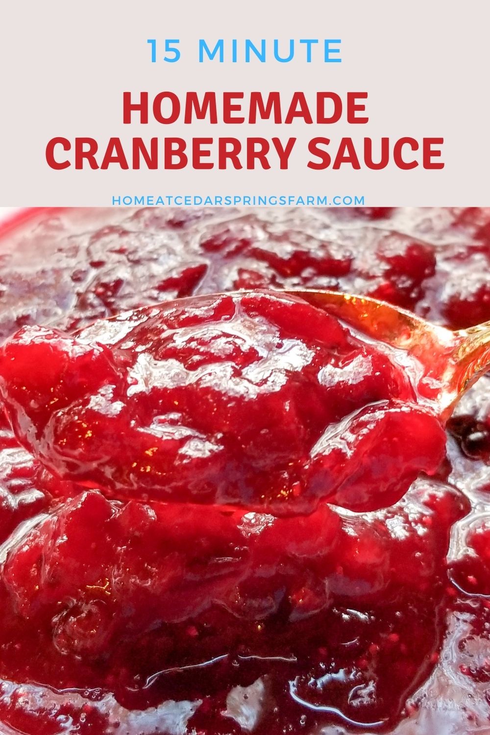 15 Minute Homemade Cranberry Sauce with text overlay