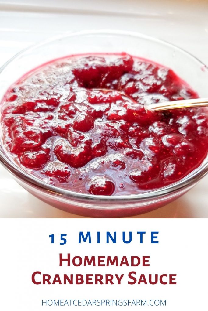 15 Minute Homemade Cranberry Sauce