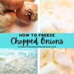 Four photos for freezing chopped onions. Whole onions and chopped onions pictured.