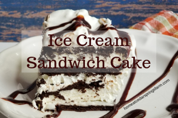 Ice Cream Sandwich Cake Home At Cedar Springs Farm