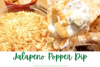 Jalapeno Popper Dip with Bacon