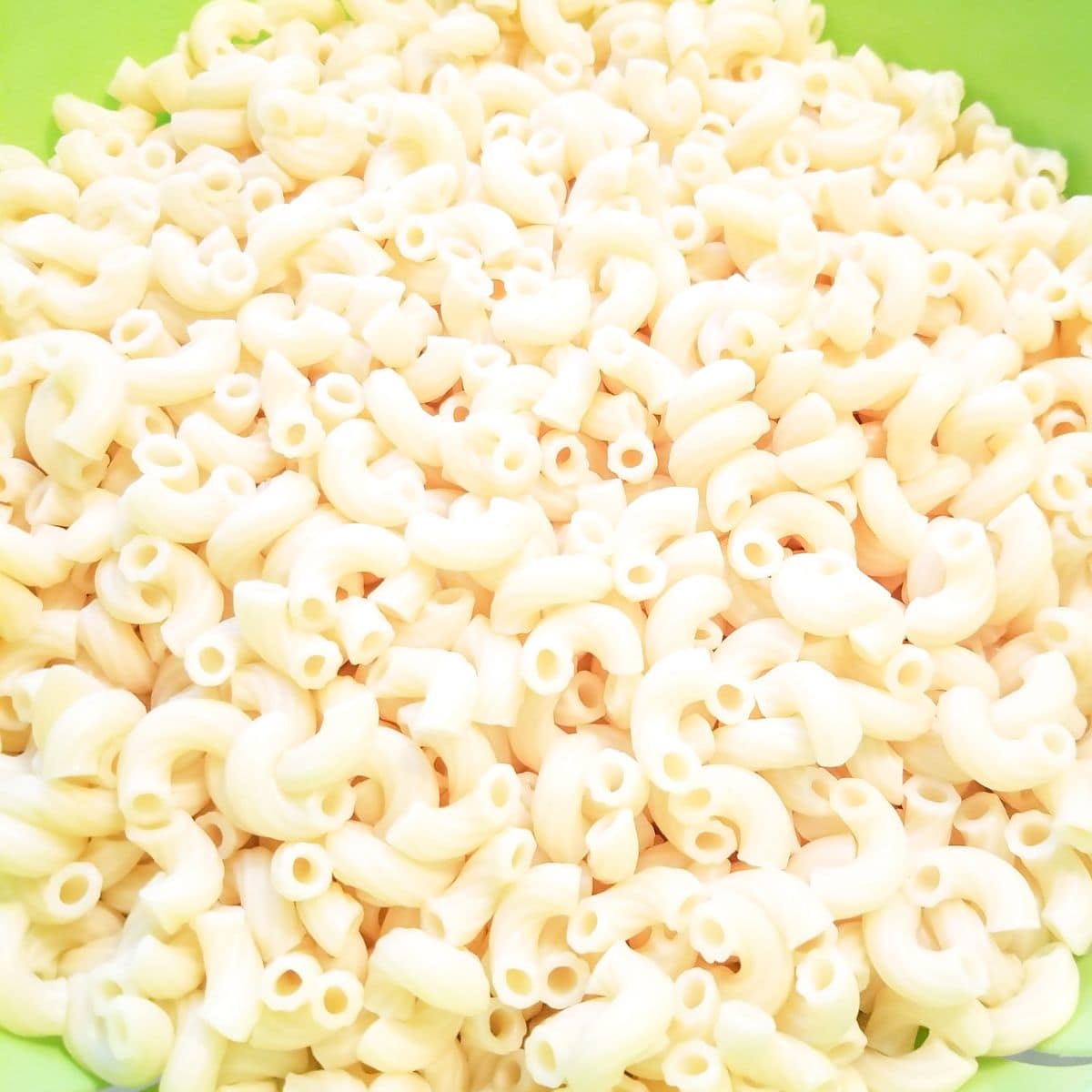 Cooked pasta noodles for macaroni salad.