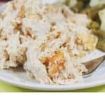 Million Dollar Chicken Casserole on a white plate.