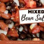 Easy Mixed Bean Salad