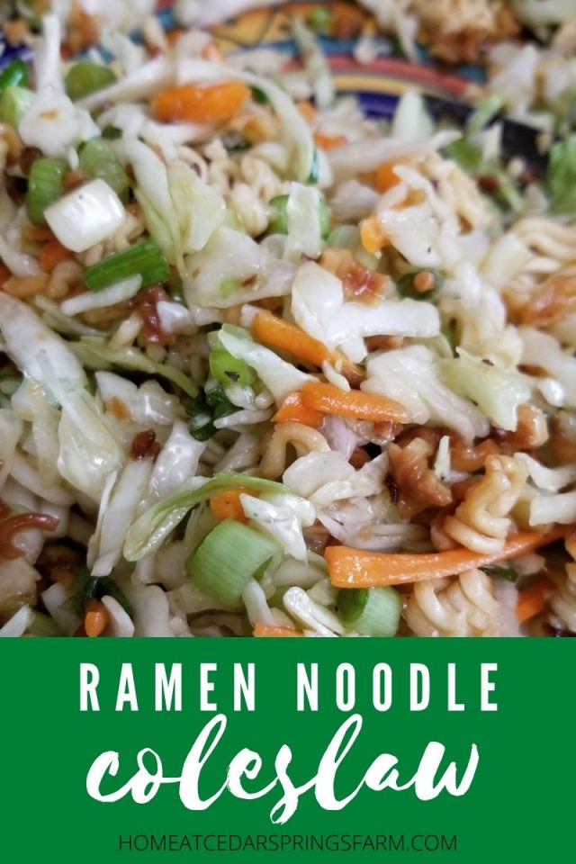 Easy Oriental Coleslaw with Ramen Noodles Home at Cedar Springs Farm