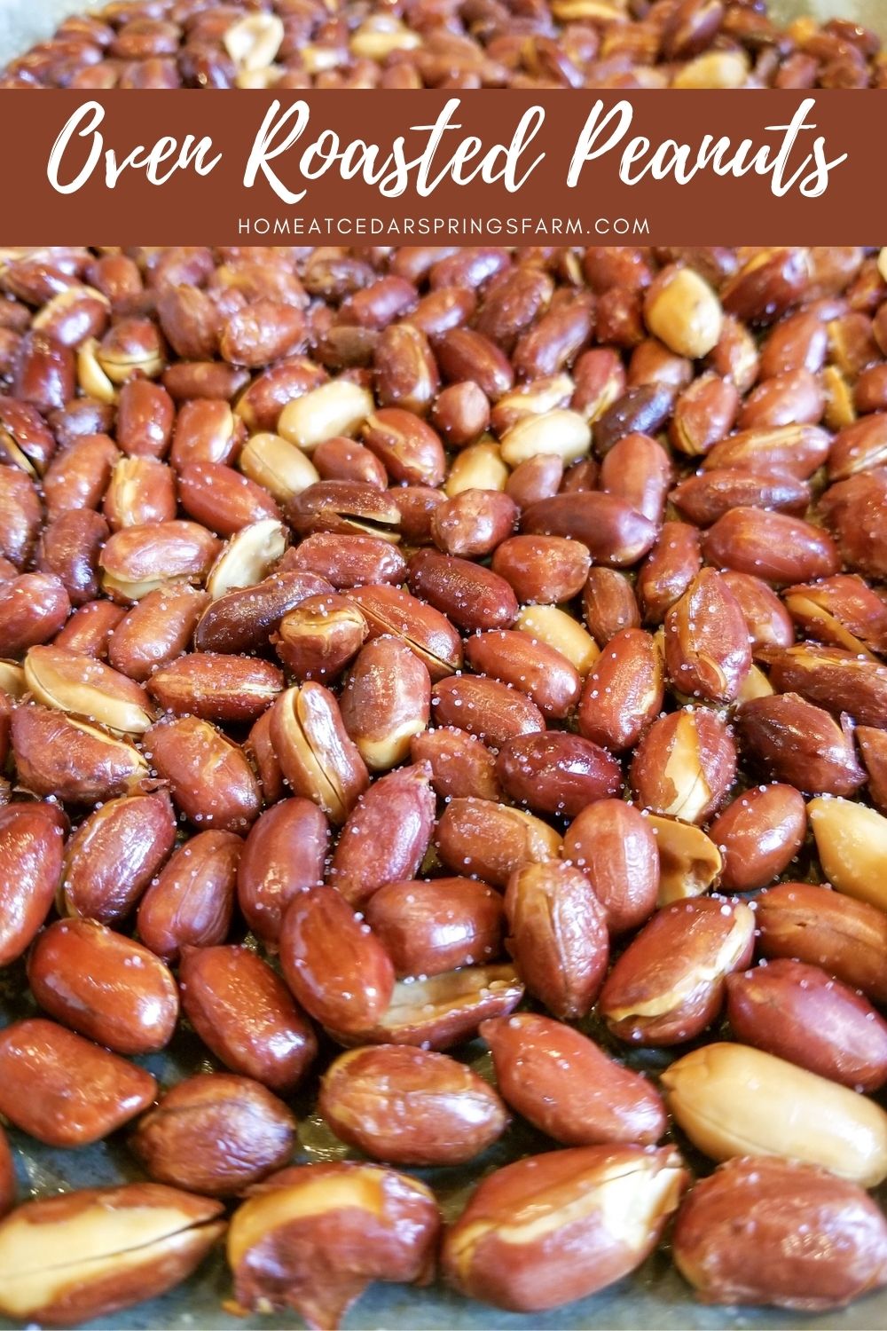 Oven Roasted Peanuts {3 Ingredients} - Home at Cedar Springs Farm