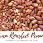 Oven Roasted Peanuts {3 Ingredients}