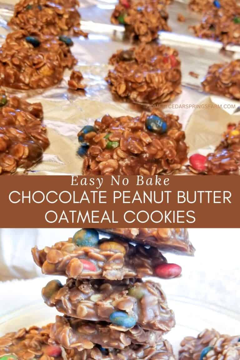 No Bake Chocolate Peanut Butter Oatmeal Cookies Home at Cedar Springs