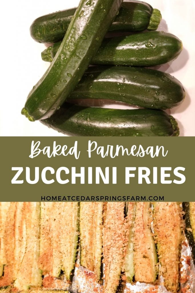 Baked Parmesan Zucchini Fries
