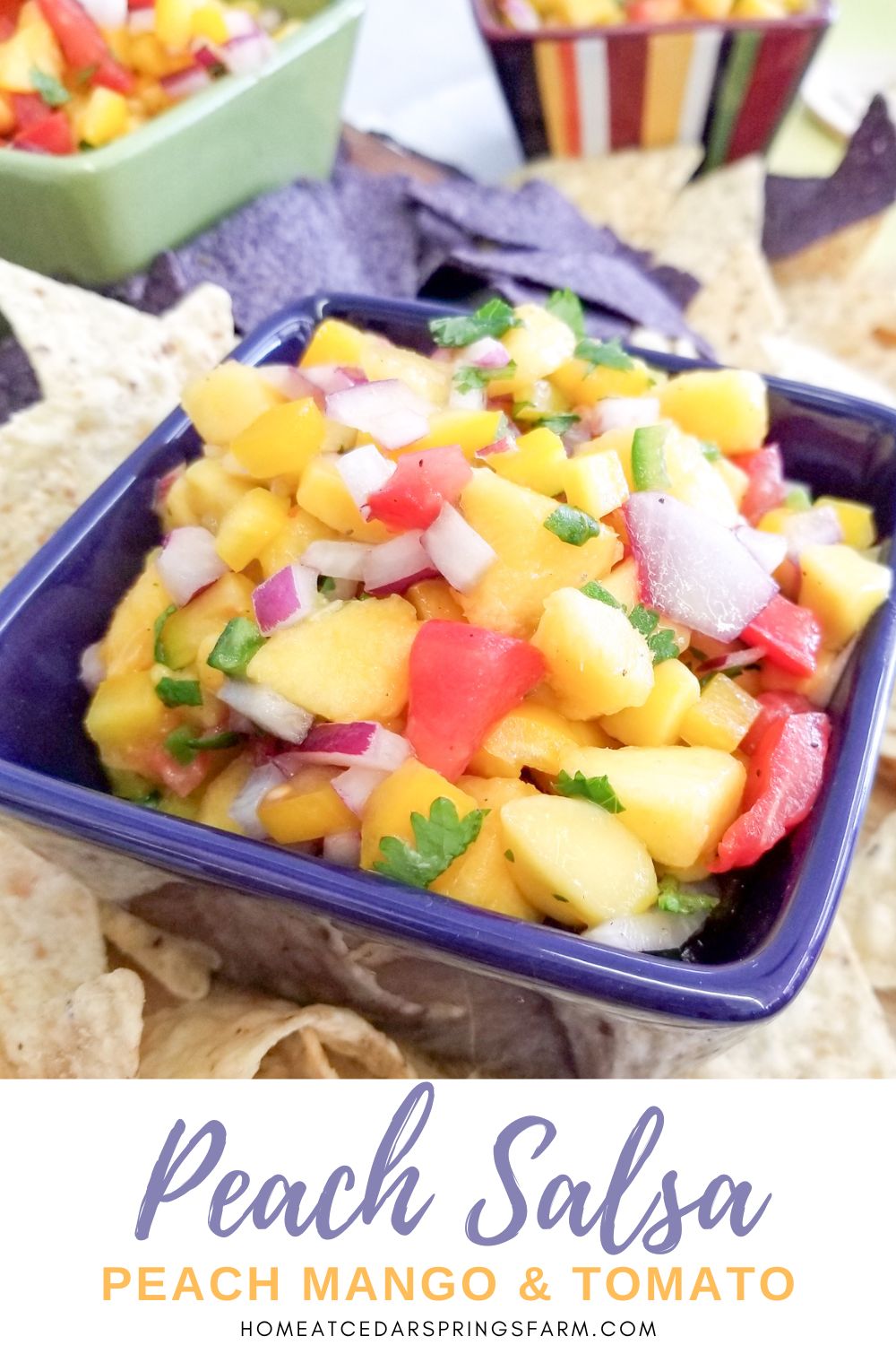 Peach Mango Salsa in bowls with chips and text overlay.