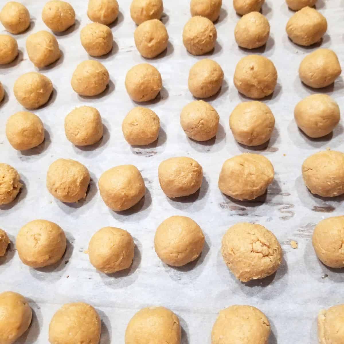 Peanut butter balls rolled and placed on top of parchment paper.