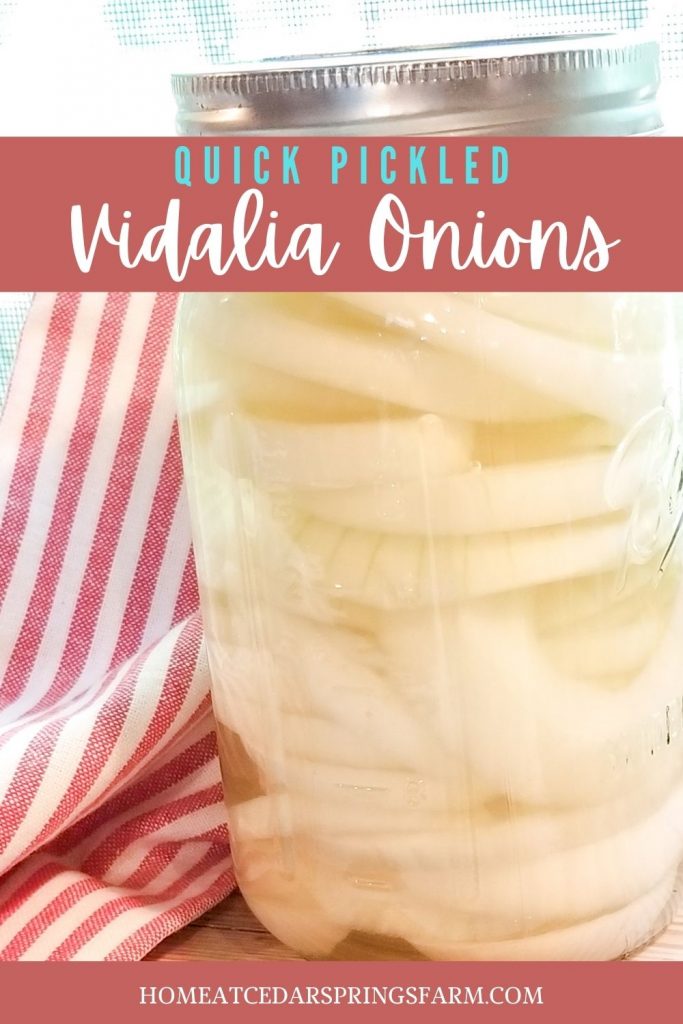 Quick Pickled Vidalia Onions