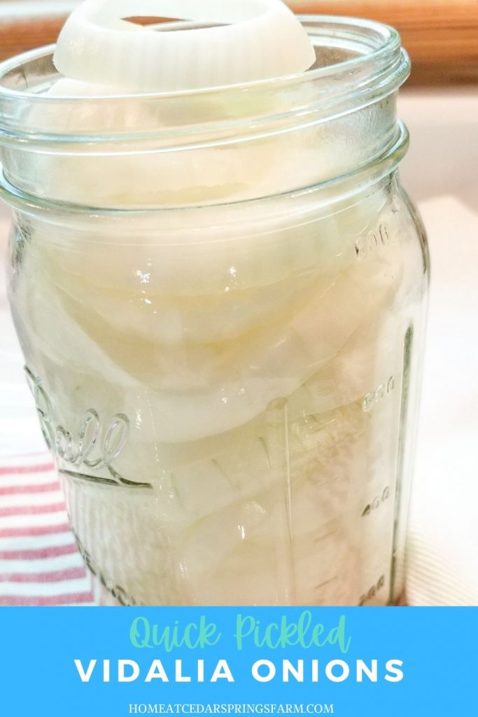 Quick Pickled Vidalia Onions