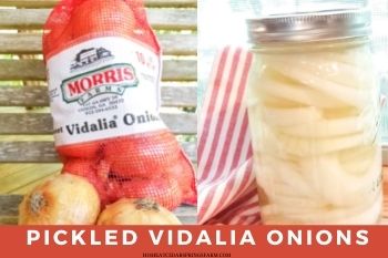 Quick Pickled Vidalia Onions