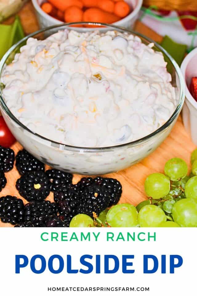 Creamy Ranch Poolside Dip - Home at Cedar Springs Farm