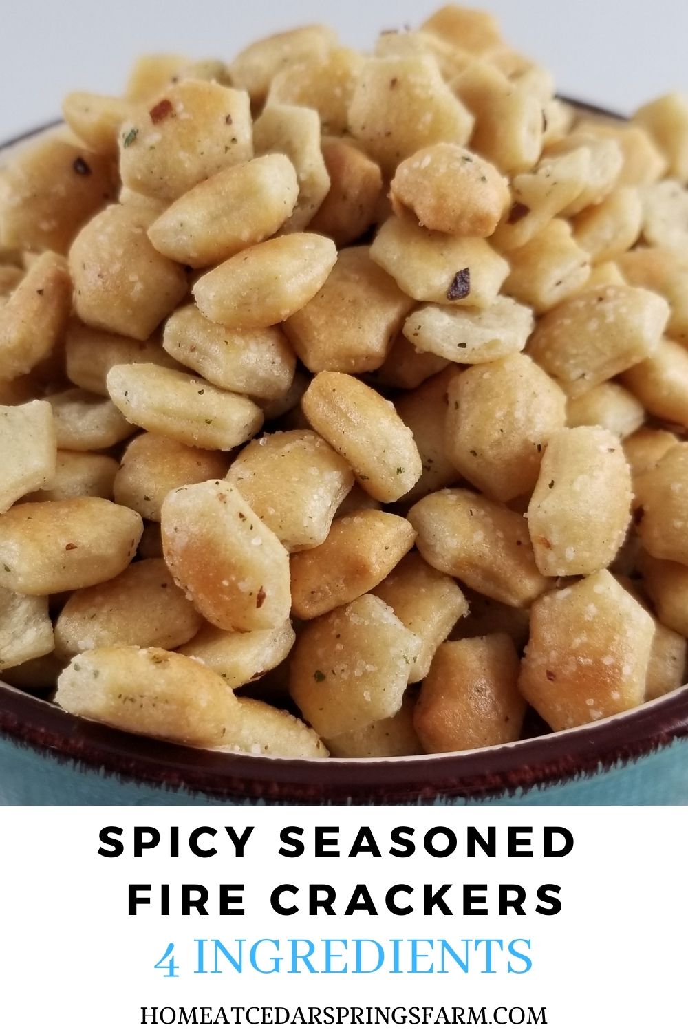 Spicy Seasoned Fire Crackers