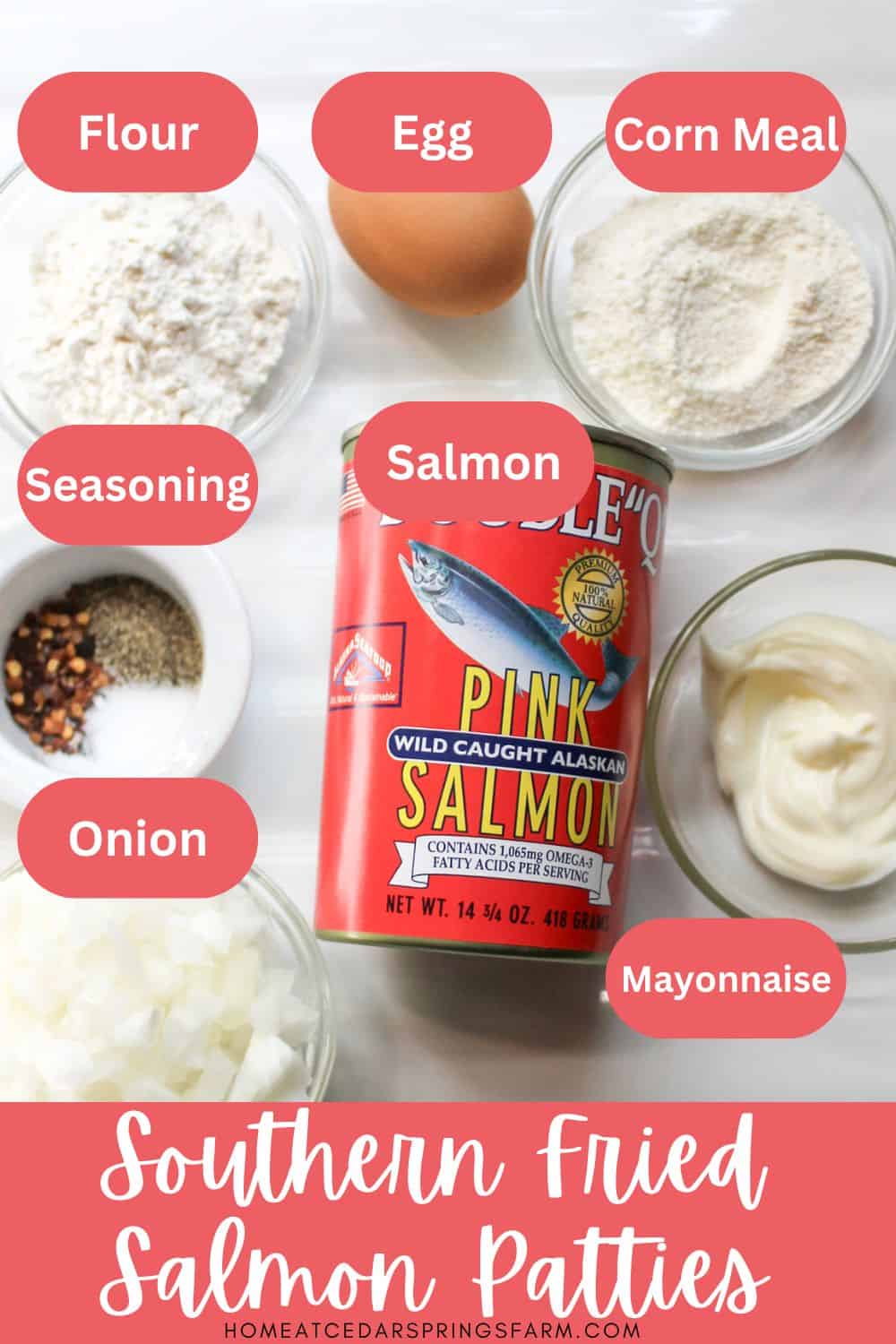Ingredients Needed for Southern Fried Salmon Patties with text overlay.