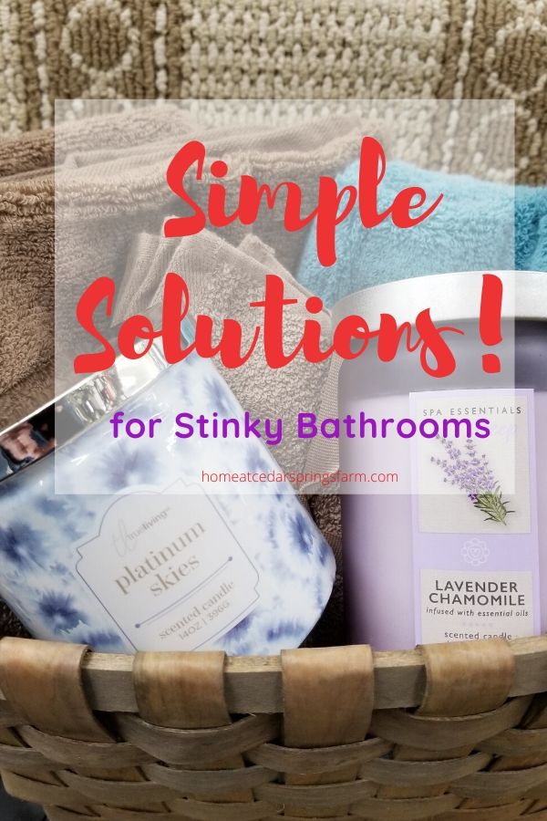 Simple Solutions for Stinky Bathroom Smells