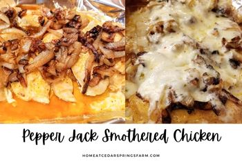 Pepper Jack Smothered Chicken