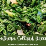 Southern Style Collard Greens with Bacon