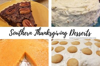 9 Southern Desserts for Thanksgiving