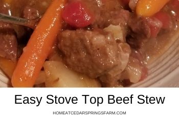 Easy Stove Top Beef Stew