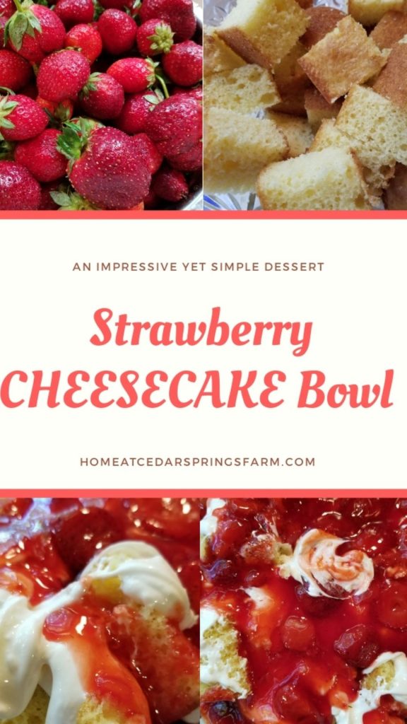 Layered Strawberry Cheesecake Dessert Bowl