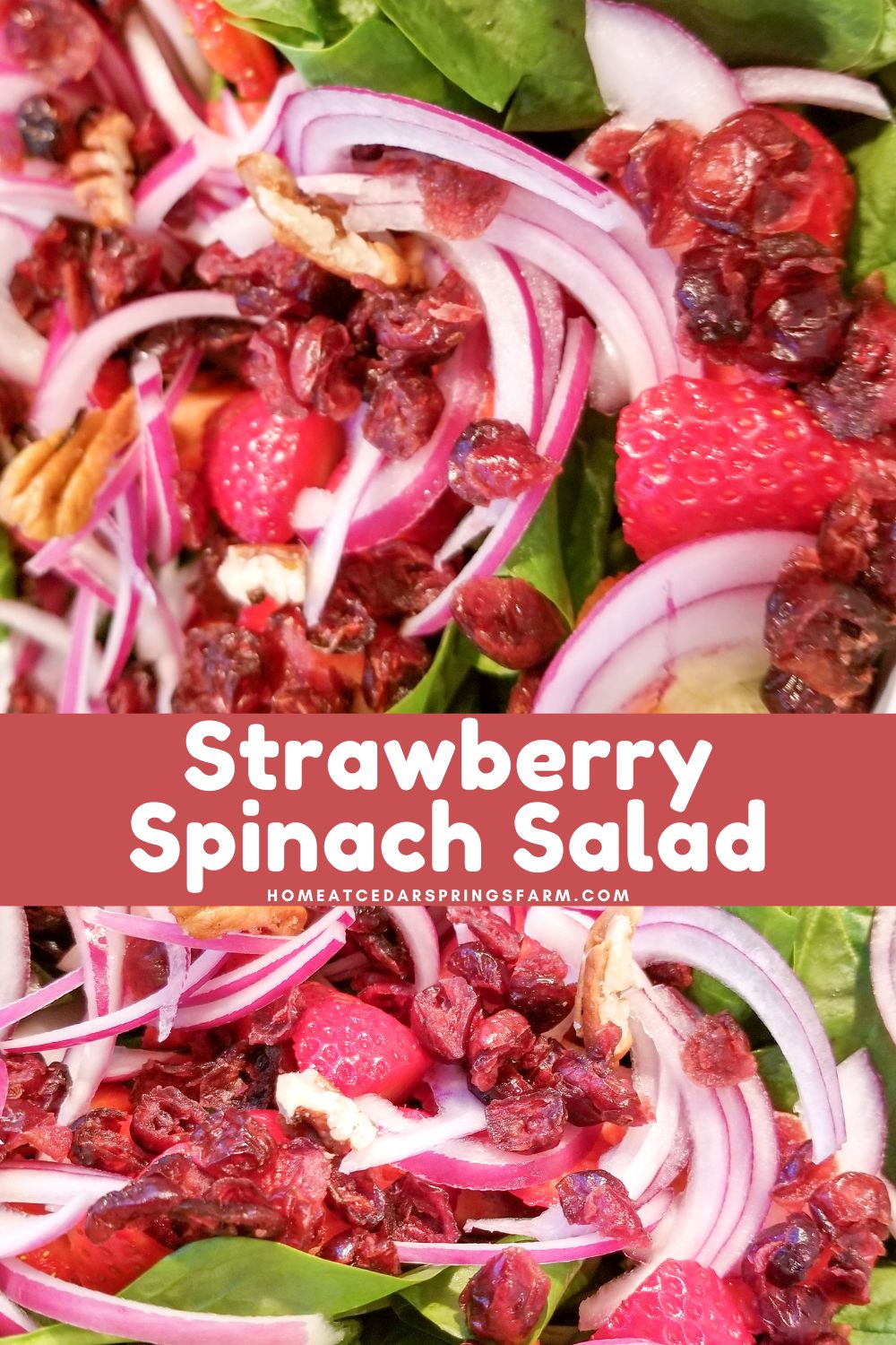Strawberry Spinach Salad with text overlay