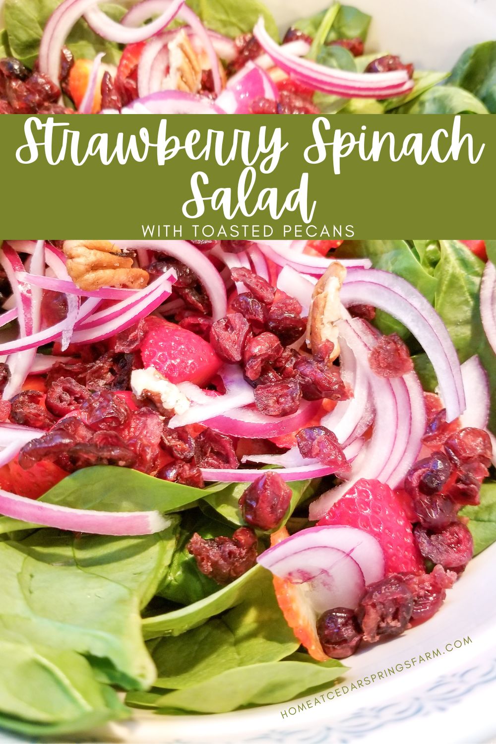 Picture of Strawberry Spinach Salad with text overlay