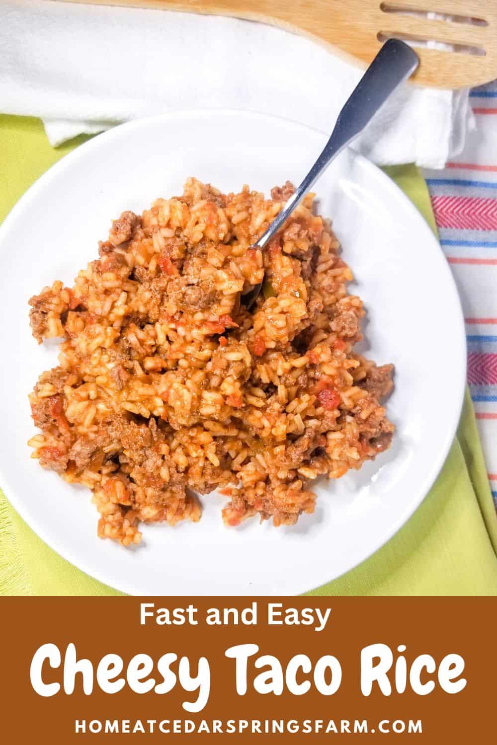 Easy Taco Rice on a white dish with text overlay.