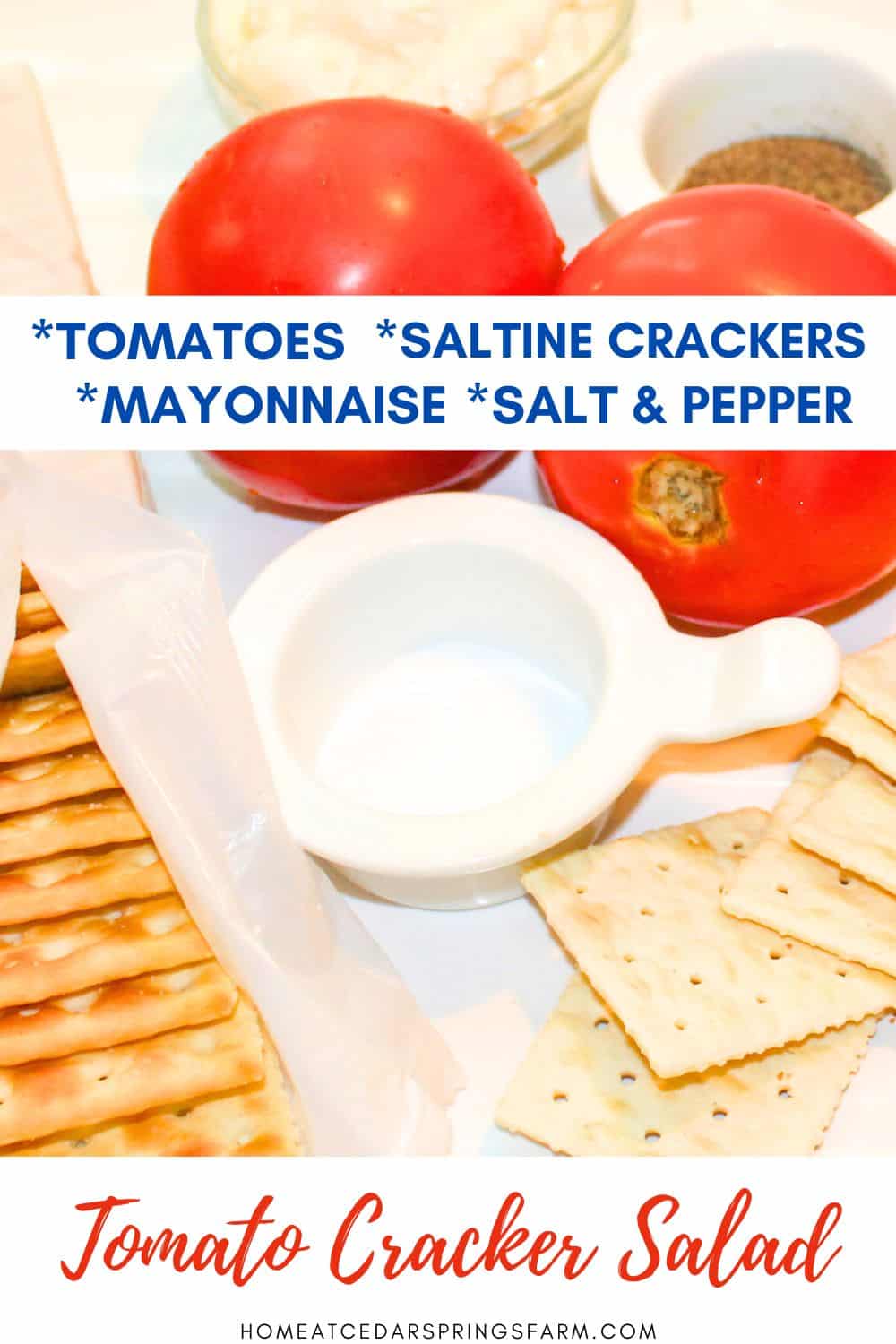 Ingredients needed for tomato cracker salad with text overlay.
