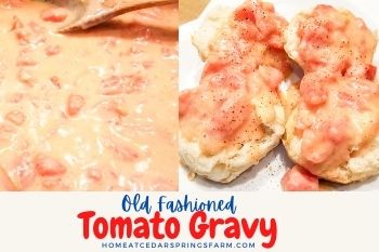 Old Fashioned Southern Tomato Gravy