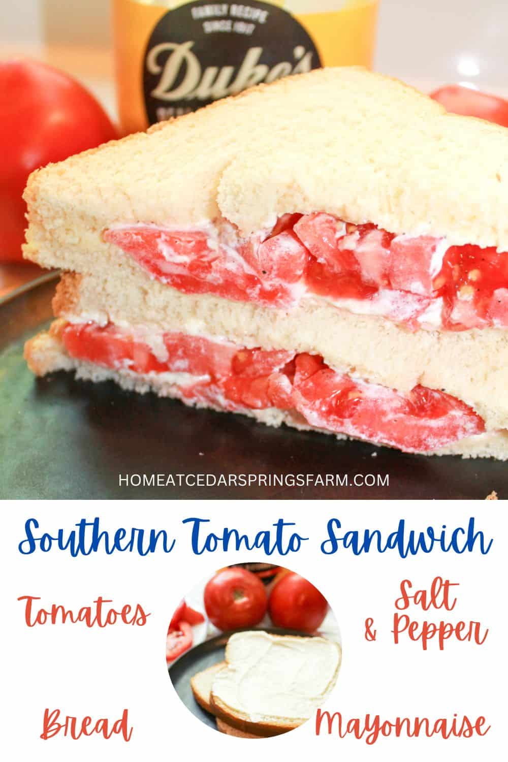 Southern Tomato Sandwich on a black plate.