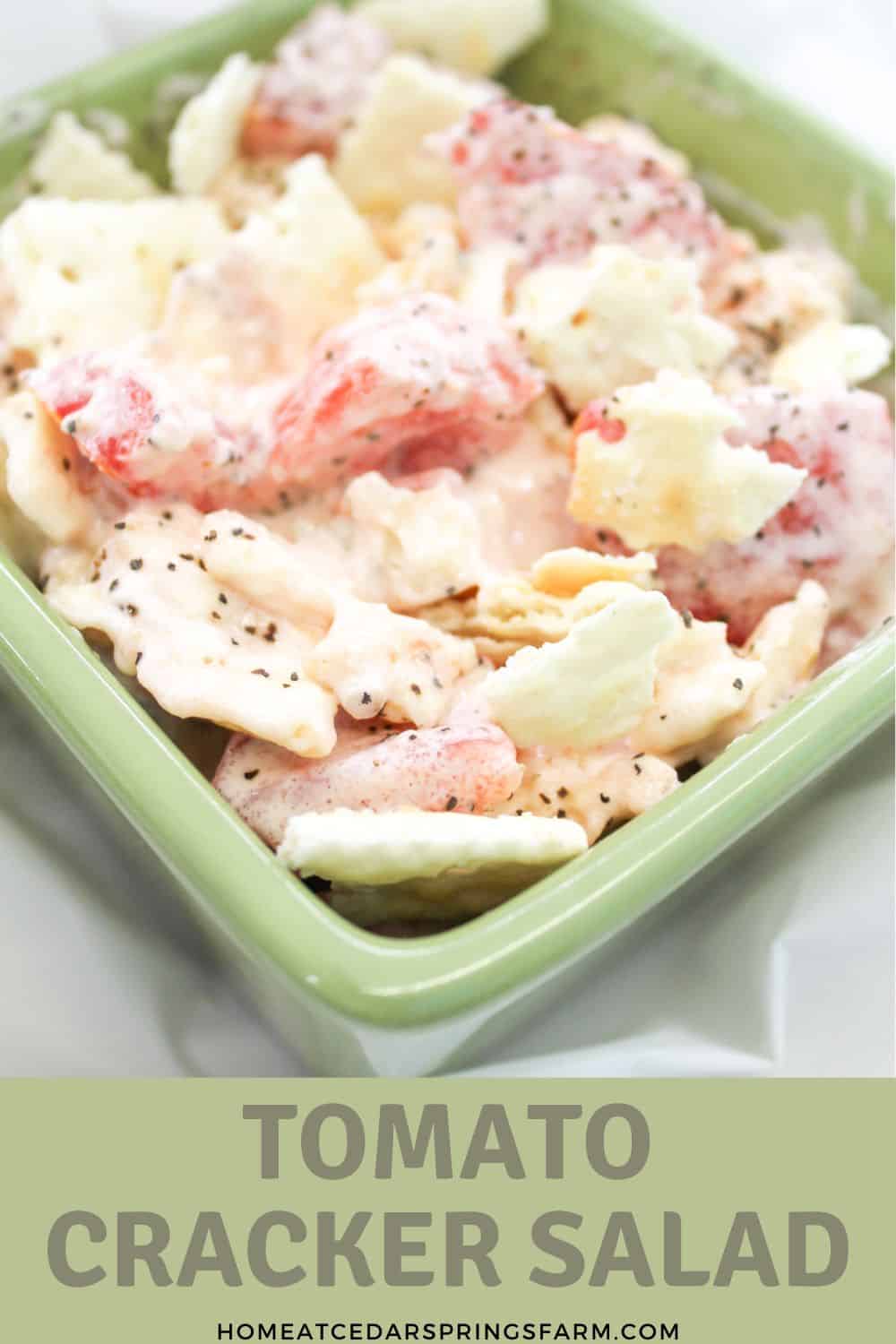 Tomato cracker salad in a green bowl with text overlay.